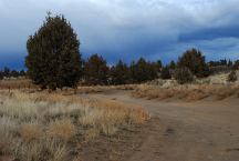 Road around Mayfield Pond