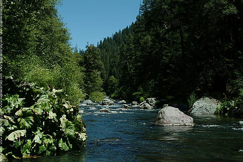 Free Campgrounds - Iron Canyon Reservoir