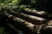 Historic Vehicular Log Bridge on Road 247