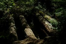 Historic Vehicular Log Bridge on Road 247