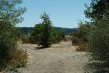 Oak Flat Campground