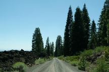 Road 56 along Burnt Lava Flow