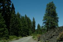 Road 56 along Burnt Lava Flow