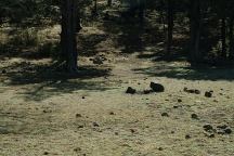 Campsite at Duncan Reservoir