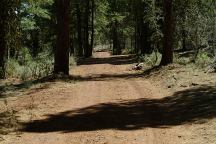 Road at Janes Reservoir