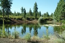 Pond near Lava Camp