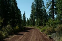 Road towards Lava Camp