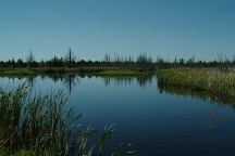 Joe Sweet Pond