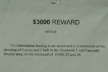 Reward