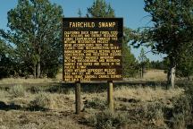 Fairchild Swamp