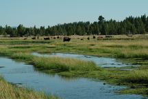 Fairchild Swamp