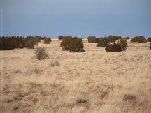 Arizona Highway 377