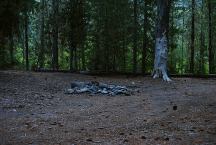 Campsite on Old Barlow Road