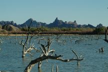 Catfish Paradise and Needle Mountains