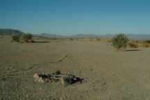 Needle Mountain Road Camp Area