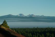 Fog on the Valley Floor