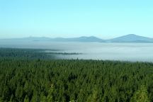 Fog on the Valley Floor