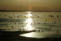 Sunrise at Niland Boat Ramp