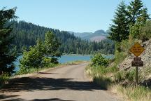 Gold Creek Road / Road#2117