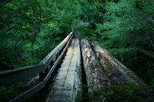 Louise Creek Bridge