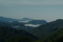 Willamette National Forest