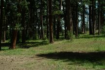 Bush Creek