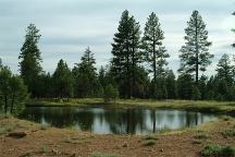 Cottonwood Pit Campground Pond