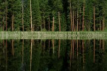 Double Cabin Pond