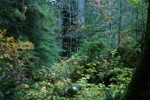 Campbell Tree Grove Campground