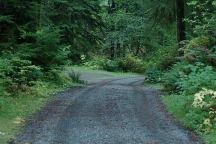 Campbell Tree Grove Campground