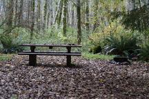 Picnic Table