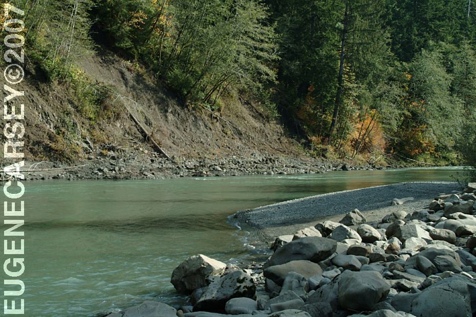 hoh river