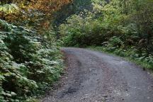 Hoh-Oxbow Campground