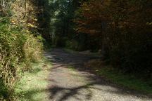 South Fork Hoh Campground