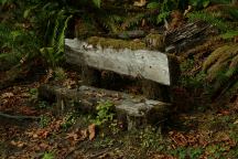 Bench at Upper Clearwater Campground