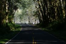 Road towards Willoughby Creek