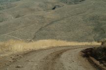 Road towards Onion Valley