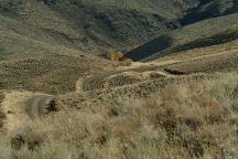 Road towards Onion Valley