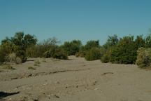 Camp Area Desert Views