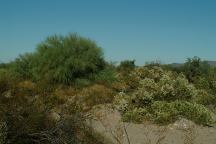 Camp Area Desert Views