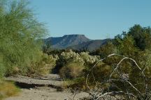 Camp Area Desert Views
