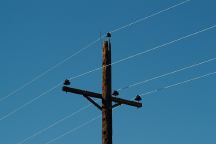 Powerlines