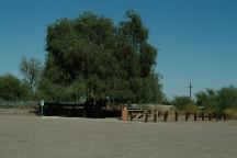 Roadside Table