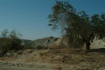 Box Canyon Camp Area