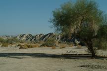 Box Canyon Camp Area