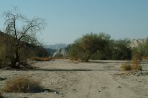 Box Canyon Camp Area