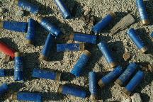 Target Practice Shotgun Shells