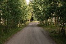 Cimarron Forks