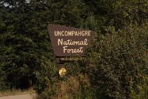 Uncompahgre National Forest