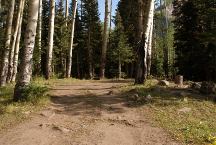 Meadow near Owl Creek Pass